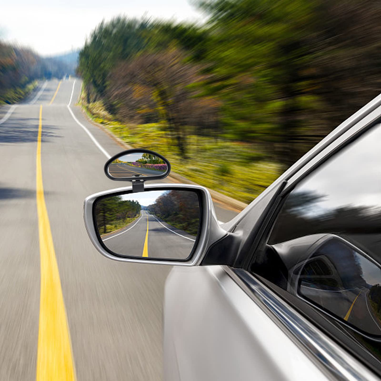 Instructor's side mirror